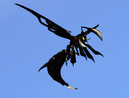 Melanistic Dabaemura