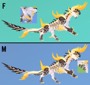 Dimorphism between male and female Chrysos