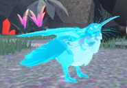 Diamond Kiiwin