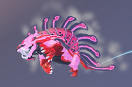 Blossom Volnoirve