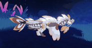 Shimmer Koini