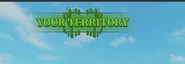 Territory indicator for own territory