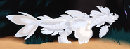 Leucistic Koini, side view