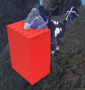 Previous model Cottol' hitbox