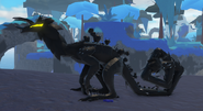 Melanistic Cantapodi