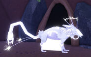 Albino Dowatt