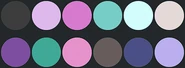 Novus Warden's primary color palette