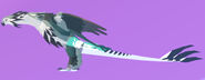Old Glow Tail Colval; note that the thighs and toes glow
