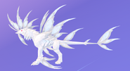 Albino female Gloracus