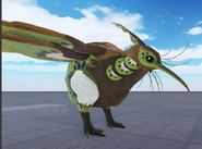 Redesign Kiiwin model