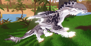 Glimmer Meorlark