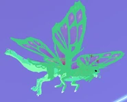 Ghosty male Momola