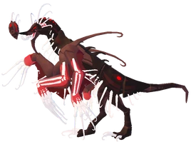 ♂