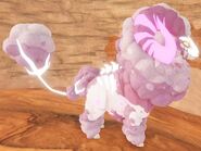Glimmer Cottol