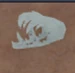 SkullTier2