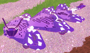 Previous Amethyst Cupuere in-game; note the grey seeds