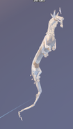 Leucistic male Norskogg