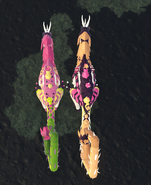 Gigantism custom male (right) and regular male (left) Cantapodi, from above