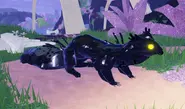 Melanistic Zokzis