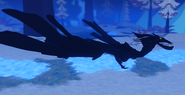 Melanistic Corsarlett