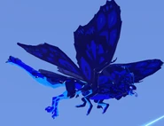 Sapphire Momola