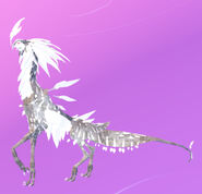 Old Albino Boreal Warden