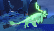 Ghosty female Molangai
