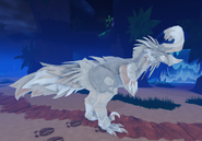 Leucistic Torcherouk