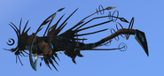 Melanistic Nyxasolyx