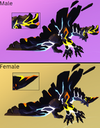 Dimorphism between male and female Caldonterrus