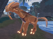Old Fool's Gold Gloracus
