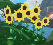 HarvestEvent2024Decor2.png (909 KB) Sunflowers decor 1