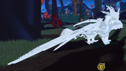 Albino female Saukuryn