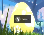 White and Yellow Egg
