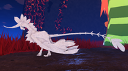 Albino Brequewk