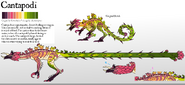 Cantapodi redesign concept art