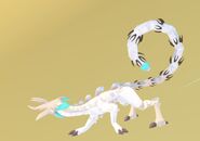 Old Leucistic male Cantapodi