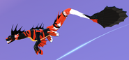 Old Clownfish female Koipise