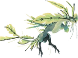 Fluren