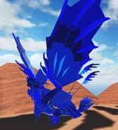 Old Sapphire male Etheralotus