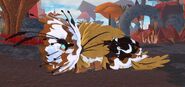 Piebald Furnilixii