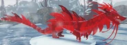 Old Ruby male Auraron