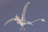 Leucistic female Brequewk