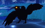 Melanistic Kiiwin