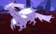 Albino Nindyr