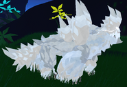 Leucistic male Koryser