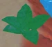 AloeVera
