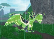 Clover Urzuk