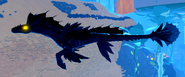 Melanistic female Koipise
