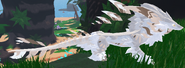 Leucistic female Emphines